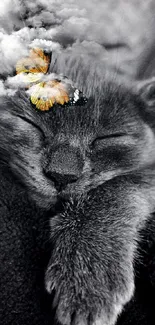 Cute kitten sleeping with a butterfly atop its head in a black and white setting.