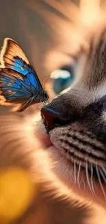 Cute kitten with butterfly on its nose, close-up view.