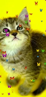 Kitten with colorful butterflies on a yellow background.