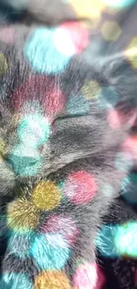 A cute kitten sleeps under colorful polka dots.