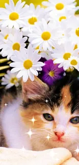 Cute kitten among daisies in a basket, perfect for mobile wallpaper.