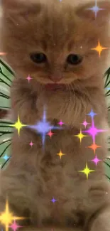 Adorable fluffy kitten with fairy wings mobile wallpaper.