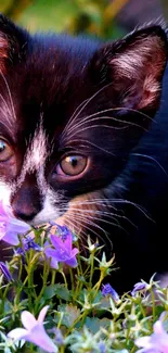 Cute kitten surrounded by purple flowers.