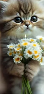 Adorable fluffy kitten holding a bouquet of daisies.