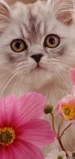 Fluffy kitten surrounded by vibrant pink flowers in a charming setting.