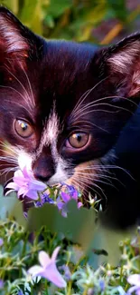 Black and white kitten sniffing purple flowers in garden scene.