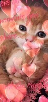 Cute kitten with heart overlays on a pink theme background.