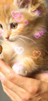 Cute kitten held in hands with glowing hearts overlay.