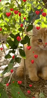 Adorable kitten surrounded by red hearts and green leaves.