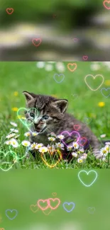 Playful kitten among flowers with glowing hearts on green background.