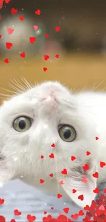 Upside-down white kitten with red hearts floating around.