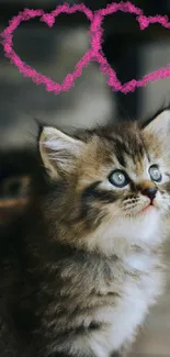 Fluffy kitten with pink hearts in rustic setting.