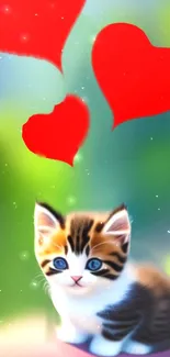 Adorable fluffy kitten with red hearts on green background.