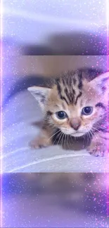 Cute kitten with neon glow and sparkles on a vibrant background.