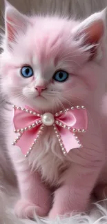 Adorable pink kitten with blue eyes and a bow.