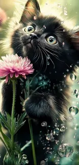 Fluffy black kitten cuddling a pink flower under raindrops.