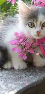 Adorable kitten nestled in vibrant pink flowers on a sunny day.