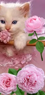 Cute kitten with pink roses on floral wallpaper.