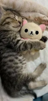 Sleeping kitten hugged by a cute plush toy on a soft background.