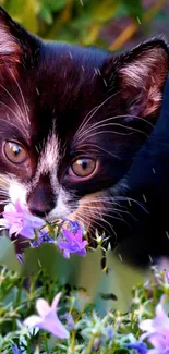 Cute kitten surrounded by purple flowers, ideal for mobile wallpaper.