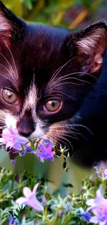 Cute kitten smelling purple flowers in garden.