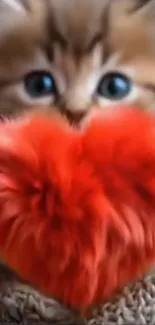 Adorable kitten holding a fluffy red heart