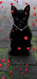 Black kitten with red hearts wallpaper, adorable and charming design.