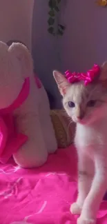 Adorable kitten with pink bow and toy elephant on bed.