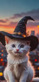 White kitten with a witch hat in a sunset cityscape.