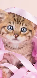 Adorable kitten wrapped in soft pink ribbon, perfect for a mobile wallpaper.