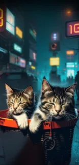 Two sleeping kittens in a neon-lit city street.