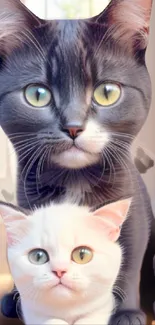 Adorable black and white kittens in a sunlit room.