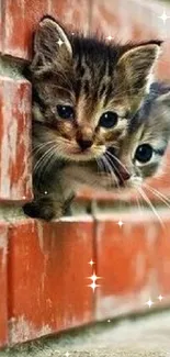 Two cute kittens peeking through a red brick wall, offering a charming view.