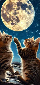 Two kittens gaze at the luminous full moon in a starry night sky.