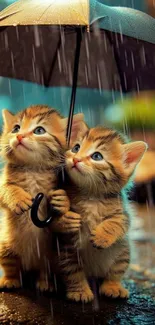 Two cute kittens hold an umbrella in rain.