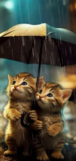 Two cute kittens under a black umbrella in the rain.