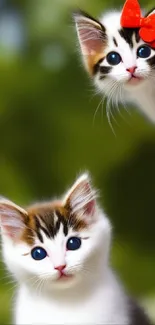 Two cute kittens with a red bow against a green background.