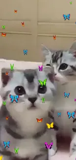 Gray kittens with colorful butterflies on wallpaper.