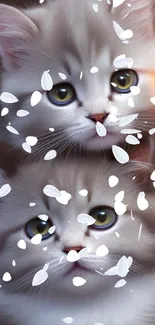 Two adorable kittens surrounded by white falling petals.