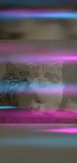 Kittens cuddling with neon pink and blue glow effects.