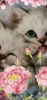 Wallpaper of kittens with pink flowers, perfect for cat lovers' phone screens.