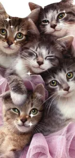 Five adorable kittens surrounded by pink tulle.