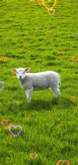 Cute lamb in a vibrant green field with colorful hearts on a mobile wallpaper.