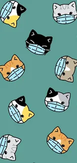 Cats wearing masks on teal background wallpaper.