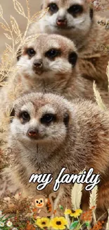 Cute meerkat family with flowers mobile wallpaper.