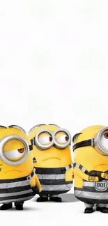 Minions dressed in black and white outfits on a vibrant wallpaper background.