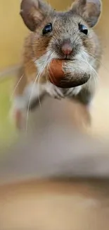 Adorable mouse leaping with a nut in its mouth, set against a blurred background.