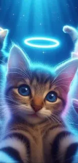 Cute kittens with glowing neon halos on a starry background.