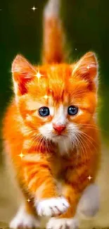 Cute orange kitten with blue eyes on a blurred green background.