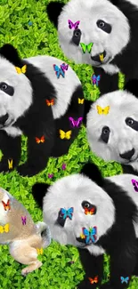 Cute pandas and dog on green background, perfect for animal lovers.